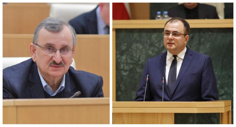 "ამდენი ბნელი მოქალაქე შეუძლებელია საქართველოში იყოს - ვერ აუხსნით, რომ ჩიპებში არ სხედან ურჩხულები?" - რომან გოცირიძე რატი ბრეგაძეს