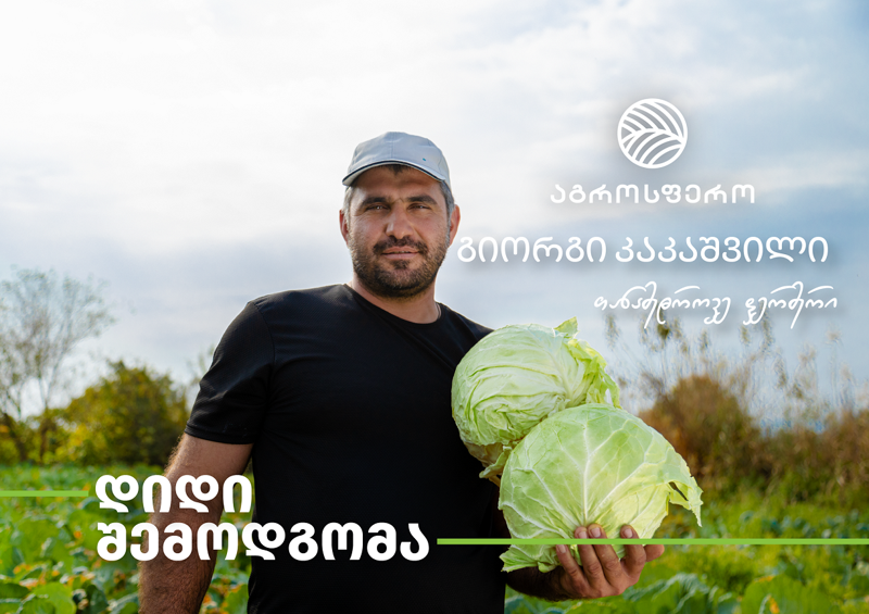 "დღეს ისეთი საშუალებებია ხელმისაწვდომი ბაზარზე, რომ ყველაფრის მოყვანა გაცილებით ადვილია" – როგორია გიორგი კაკაშვილის დიდი შემოდგომა