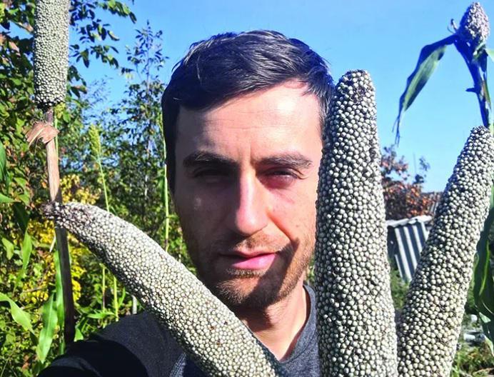 ახალგაზრდა ფერმერი კისისხევიდან და მისი ექსპერიმენტი - როგორ მოვიყვანოთ სორგო და მარგალიტის ფეტვი