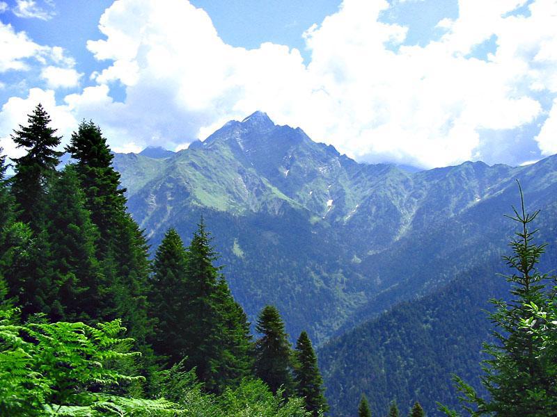 გარემოს ეროვნულმა სააგენტომ კომპანიას, რომელიც ბიზნესმენ დავით ხიდაშელთან არის დაკავშირებულ რაჭაში სამონადირეო მეურნეობის ლიცენზია გაუუქმა