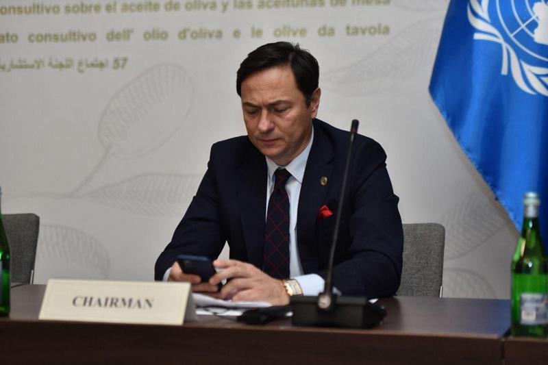 გიორგი სვანიძე: "რომ არა პატრიარქის კურთხევა, ასეთ მოკლე დროში საქართველოს ამხელა მიღწევა არ ექნებოდა" - როგორც აღნიშნეს ზეთისხილის საერთაშორისო დღე საქართველოში?