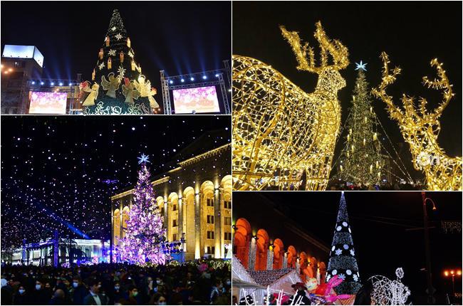 როგორ იცვლებოდა ბოლო წლების განმავლობაში თბილისის მთავარი ნაძვის ხე?