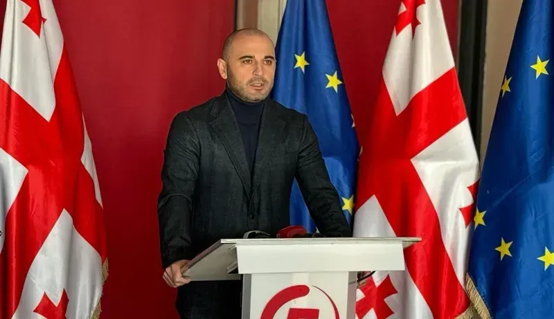 "ნაციონალური მოძრაობა“ პოლიტსაბჭოს აფართოებს