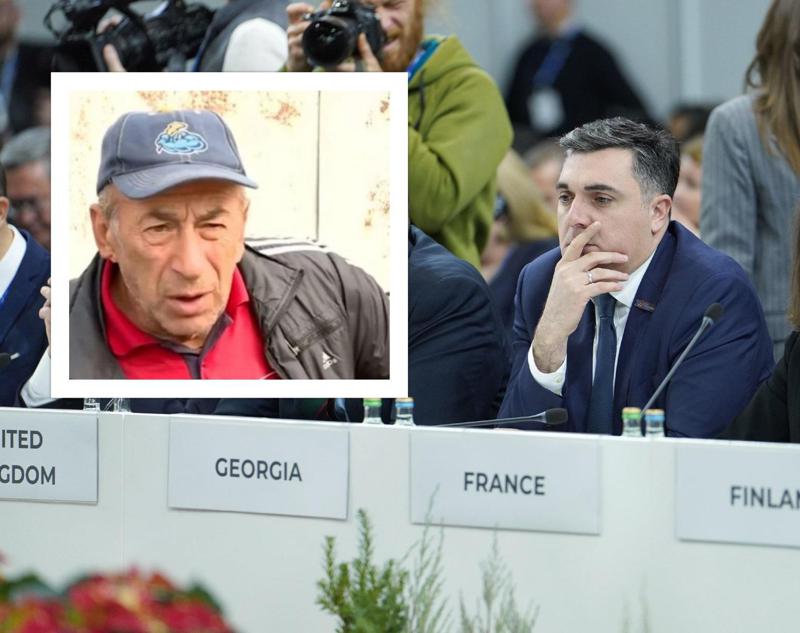 რა თქვა საქართველოს საგარეო საქმეთა მინისტრმა ეუთო-ს სხდომაზე თამაზ გინტურის მკვლელობასთან დაკავშირებით?