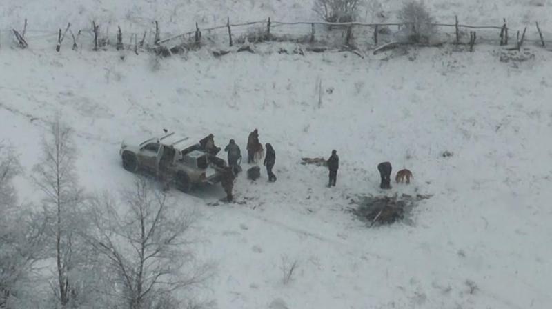 დუშეთში მოქალაქეებმა საქართველოს "წითელი ნუსხით" დაცული დათვის სახეობა მოკლეს - გარემოსდაცვითი ზედამხედველობის დეპარტამენტი