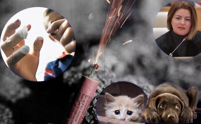 "ღირს კი გართობა სხვისი სიცოცხლის ფასად?!" - რატომ არ კრძალავს ხელისუფლება საფრთხის შემცველი პიროტექნიკის რეალიზაციასა და გამოყენებას