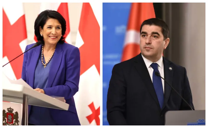 "სალომე ზურაბიშვილი არის "ნურც გაფრინდები და ნურც მოფრინდები" - შალვა პაპუაშვილი