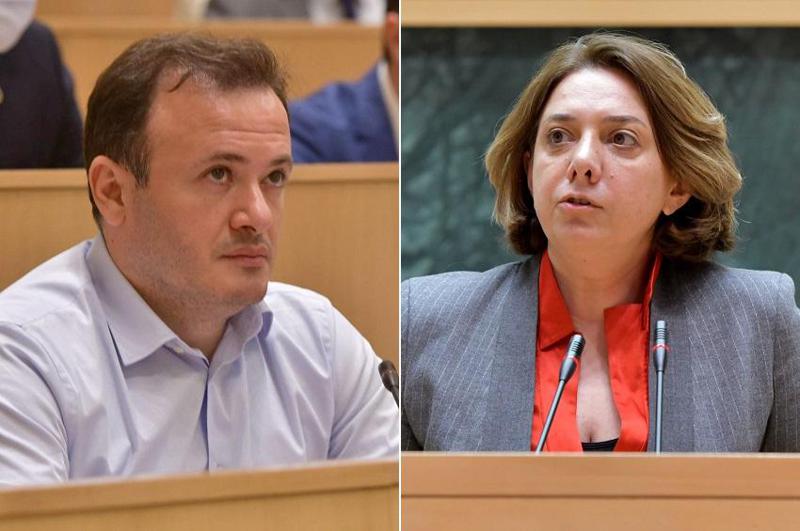 "მინდა განსაკუთრებით მივულოცო ქალბატონ სალომე სამადაშვილს, სალო, გილოცავ, ჩვენ ეს შევძელით" - ზარქუა