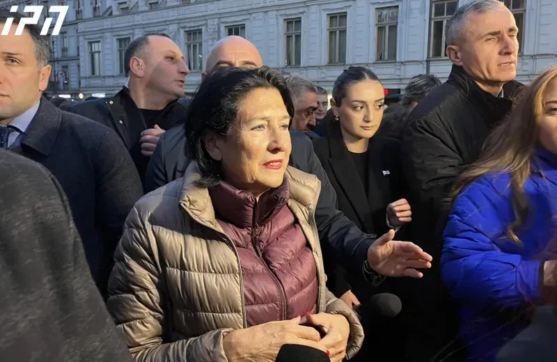 სალომე ზურაბიშვილი კანდიდატის სტატუსის მიღებისადმი მიძღვნილ ღონისძიებაზე მივიდა