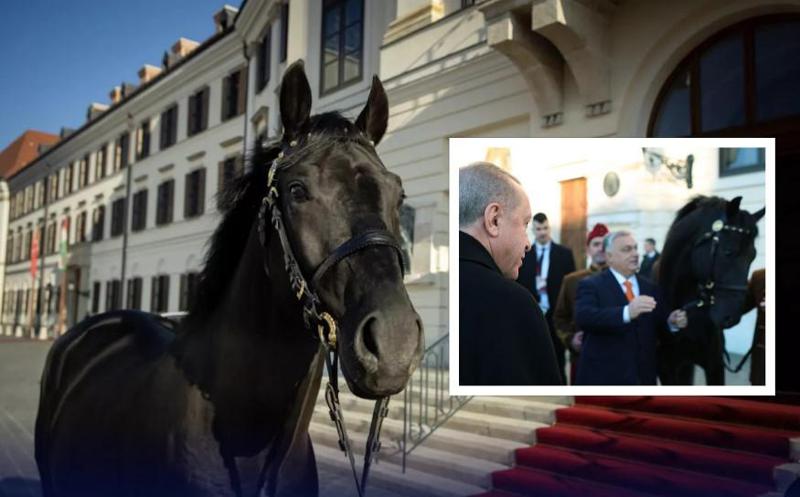 ვიქტორ ორბანმა რეჯეფ თაიფ ერდოღანს ცხენი აჩუქა (ფოტოები)