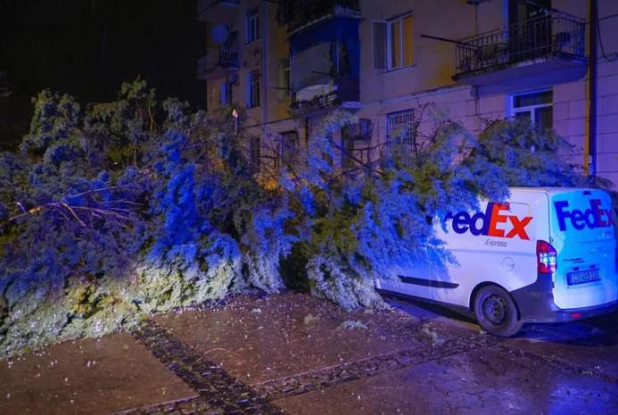 ძლიერი ქარი, მოგლეჯილი ხეები, დაზიანებული ელექტროგადამცემი ხაზები და სახურავები - რა ხდება ბათუმში