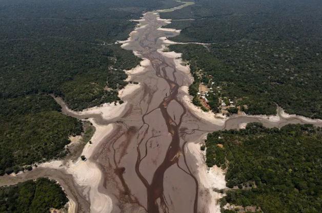 "მსგავსი არასოდეს გვინახავს“ - უპრეცედენტო გვალვა ამაზონის ტყეებში: გამქრალი მცენარეები, დახოცილი ცხოველები... კლიმატოლოგების თქმით, ვითარება კრიტიკულ ზღვარს უახლოვდება