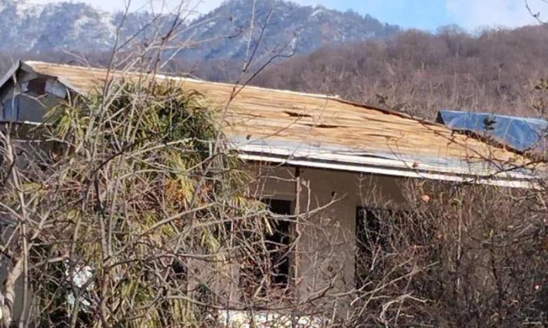 მოგლეჯილია მრავალწლიანი ხეები, შეფერხებულია სამანქანე მოძრაობა - ძლიერი ქარი კახეთში: სად რა ვითარებაა?