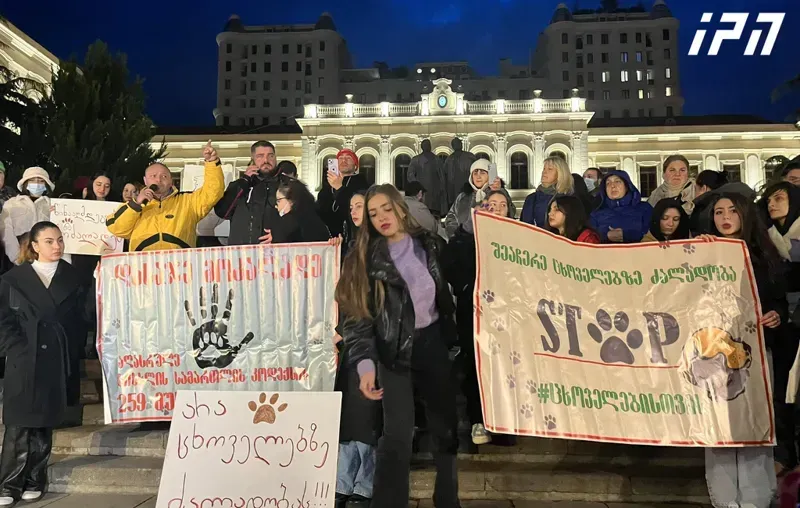 თბილისში, ცხოველების უფლებების დამცველებმა ცხოველებზე ძალადობის შეჩერების მოთხოვნით აქცია გამართეს