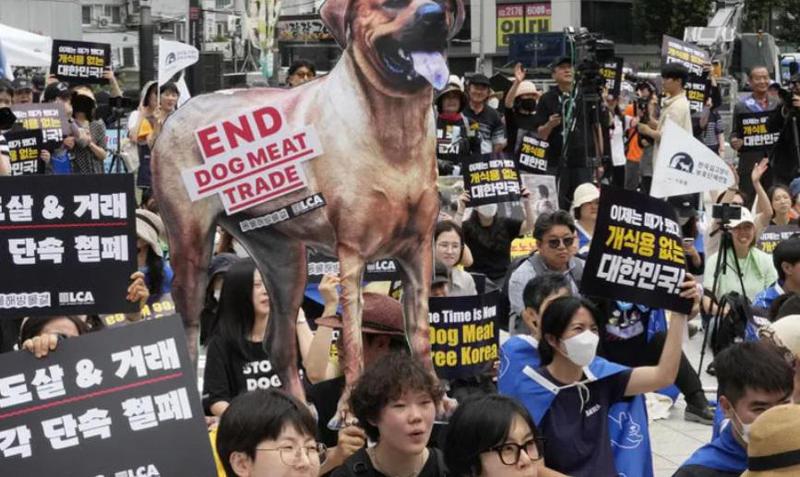 სამხრეთ კორეის პარლამენტმა ძაღლის ხორცის საკვებად გამოყენების აკრძალვას მხარი დაუჭირა