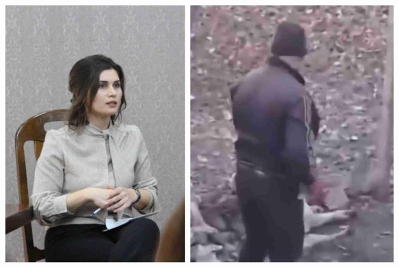 სამირა ბაირამოვას ინფორმაციით, კაცი, რომელიც ძაღლზე ძალადობისთვის დააკავეს,  მხილებულია 13 წლის მოზარდის სექსუალურ შევიწროებაშიც - "როგორც გავიგე, 3-4 დღის წინ ამ გოგოს მოტაცებას ცდილობდა"