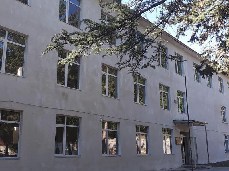 "ჩვენი შვილების ჯანმრთელობა ჩააბარეს ადამიანს, რომელსაც ექიმად მუშაობის უფლება არ აქვს" - რა მოხდა ზესტაფონის მუნიციპალიტეტის სოფელ პირველი სვირის საჯარო სკოლაში?