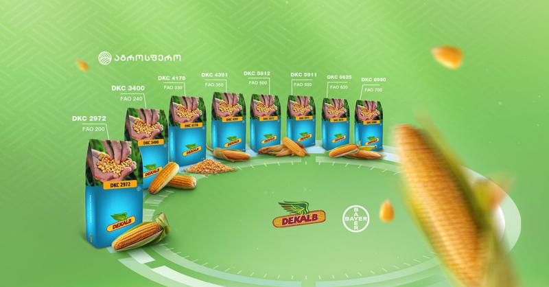 სიმინდის ჰიბრიდების ფართო ასორტიმენტი Dekalb-ისა და "აგროსფეროსგან“