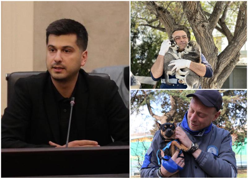 "4-5 წელში თბილისში მიუსაფარი ცხოველების რაოდენობა მნიშვნელოვნად შემცირდება" - როგორია გეგმა, რომელ უბნებშია ყველაზე მეტი მიუსაფარი ძაღლი და როდის მიმართავენ თავშესაფრებში ევთანაზიას?