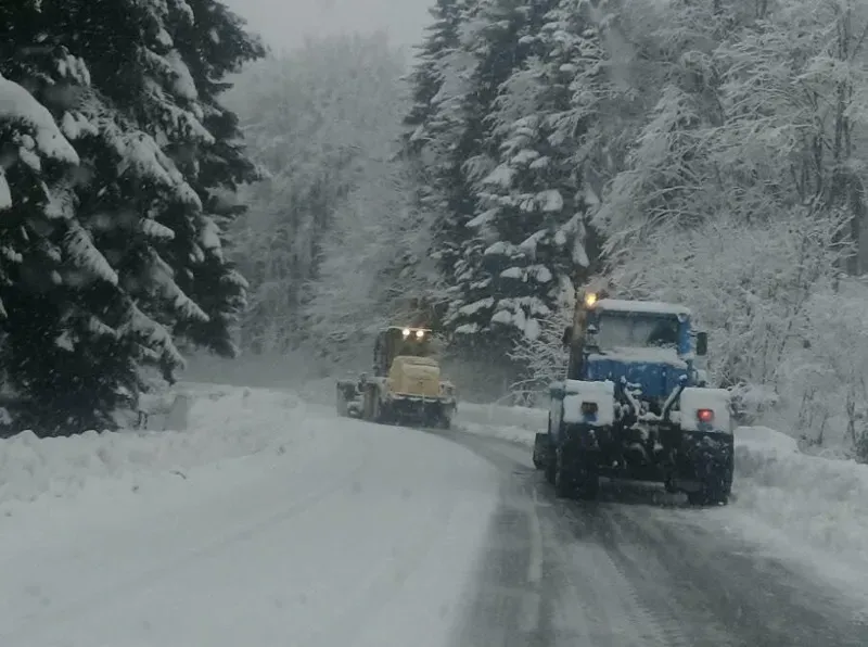 უამინდობა საქართველოში და შეზღუდვები გზებზე: რამდენიმე მონაკვეთზე ზვავსაშიშროების საფრთხის დონე მაღალია - რა ინფორმაციას ავრცელებს გზების დეპარტამენტი?