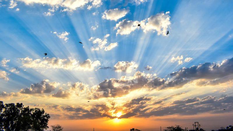 საქართველოში +24 გრადუსამდე დათბება - როდემდე შენარჩუნდება თბილი და უნალექო ამინდები?