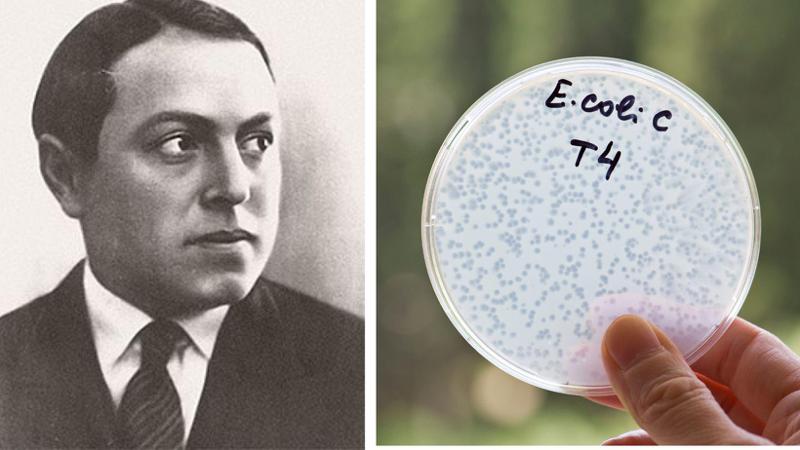 გიორგი ელიავას სახელობის ბაქტერიოფაგიის, მიკრობიოლოგიისა და ვირუსოლოგიის ინსტიტუტი 100 წლისაა - რატომ არ კარგავს ფაგები და ბაქტერიოფაგიის ინსტიტუტი აქტუალობას მსოფლიო მასშტაბით?