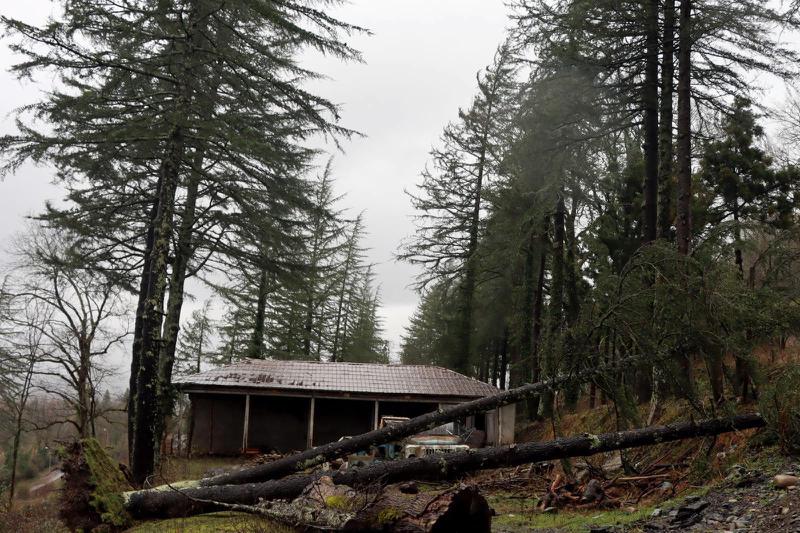 ფოტოები სტიქიის ზონიდან: რა ვითარებაა ჩოხატაურში, სადაც ძლიერმა ქარმა 107 სახლს სახურავი დაუზიანა - " წაქცეულია მრავალწლოვანი ხეები"