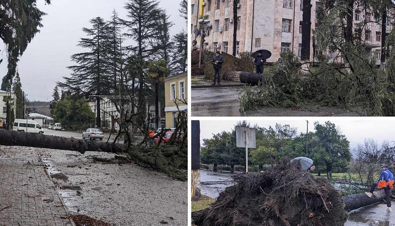 გრიგალი, მოგლეჯილი ხეები, ქარმა სახლს სახურავი გადახადა - წალენჯიხაში სტიქიას ებრძვიან (ფოტოები)