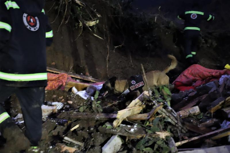 სოფელ ნერგეეთში, მეწყრულ ზონაში კიდევ ერთი - მეხუთე ადამიანის ცხედარი იპოვეს