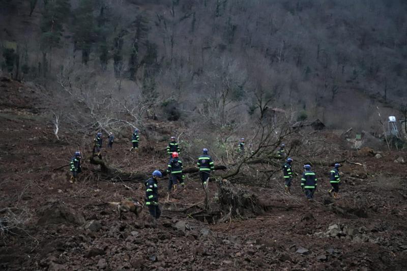 რამ გამოიწვია მეწყერი ნერგეეთში და როგორია პირველადი მონაცემები - გარემოს ეროვნული სააგენტო განცხადებას ავრცელებს