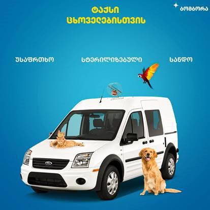 "ბომბორა ტაქსი" - კომპანია, რომელიც ცხოველების მომსახურებას სხვადასხვა დანიშნულებით უზრუნველყოფს