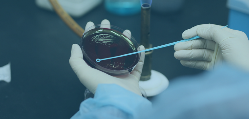 რა საფრთხეს უქმნის მსოფლიოს ანტიბიოტიკორეზისტენტობა და რა არის გამოსავალი?