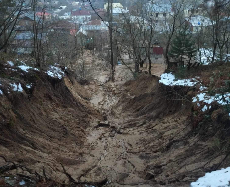 “მეწყრული პროცესი დაიწყო გურამიშვილის ქუჩაზე, რომელსაც ტყის მასივი აკრავს, მაღლობი ადგილია და იქიდან დაიძრა მიწის მასა" - რა ხდება ამჟამად სურამში?