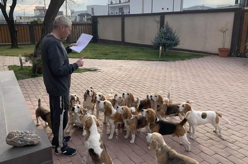 დღის ფოტო - "ვაცნობ მეზობლების თანხმობის პირობებს და მოქცევის წესს"