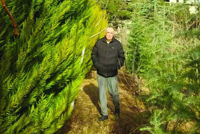 ვაშლიჯვრის დასახლების ერთი "ტყე-ეზო", რომლის გაშენებაში მთელი კორპუსი მონაწილეობდა, ახლა კი მას პოლიტიკოსი აკაკი ბობოხიძე უვლის