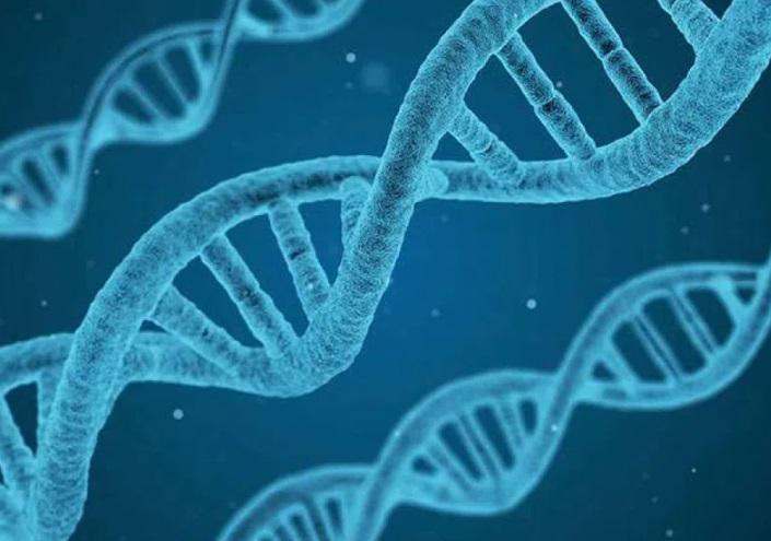 საქართველოში დნმ-ის მონაცემთა ერთიანი ბაზა შეიქმნება - რა ხდება ცნობილი?