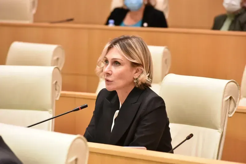 ნინო წილოსანი პარლამენტის ვიცე-სპიკერი გახდა