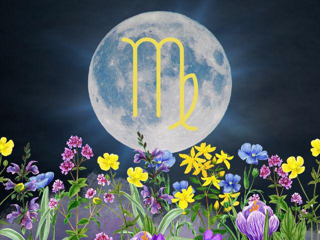 ზოდიაქოს რომელ ნიშნებზე იმოქმედებს სავსემთვარეობა ქალწულში ყველაზე მეტად