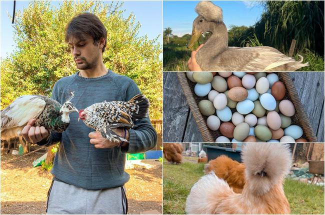 სად არის ეგზოტიკური ფრინველების ფერმა და რას ამბობს მისი დამფუძნებელი - "წელს პიკია, ჯერ ფრინველი არ გამოჩეკილა და უკვე გაყიდულია“