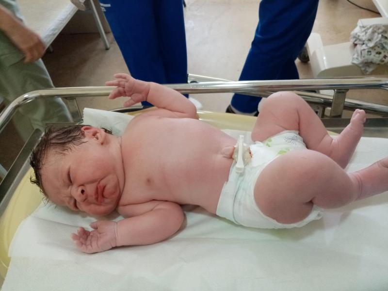 დღეს ოზურგეთში ექვთიმე თაყაიშვილი დაიბადა