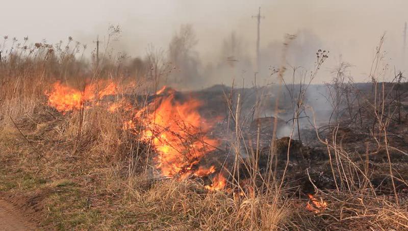 დედოფლისწყაროში, ტყის მიმდებარედ ახალგაზრდა მამაკაცი ნახეს, რომელიც ცეცხლის წაკიდებას  მიზანმიმართულად ცდილობდა