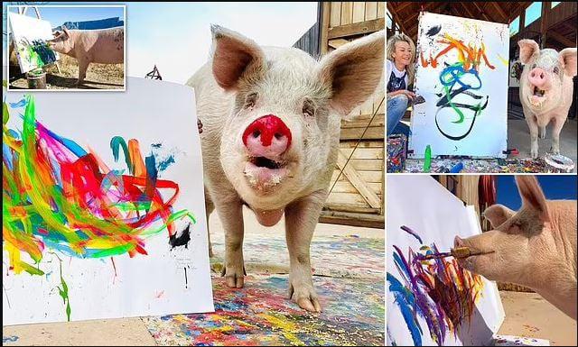 25 ათას დოლარად გაყიდული ნამუშევრები და გამოფენები მსოფლიო მასშტაბით - პლანეტის ყველაზე ცნობილი მხატვარი ღორი დაიღუპა: რა ქონება დატოვა pigcasso-მ?