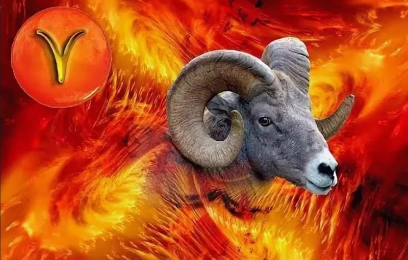 რატომ ავადდება ვერძი?