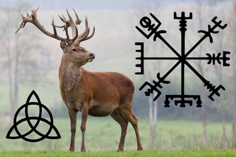 კელტური ასტროლოგია: რომელი ცხოველის ძალა მართვს თქვენი ზოდიაქოს ნიშანს