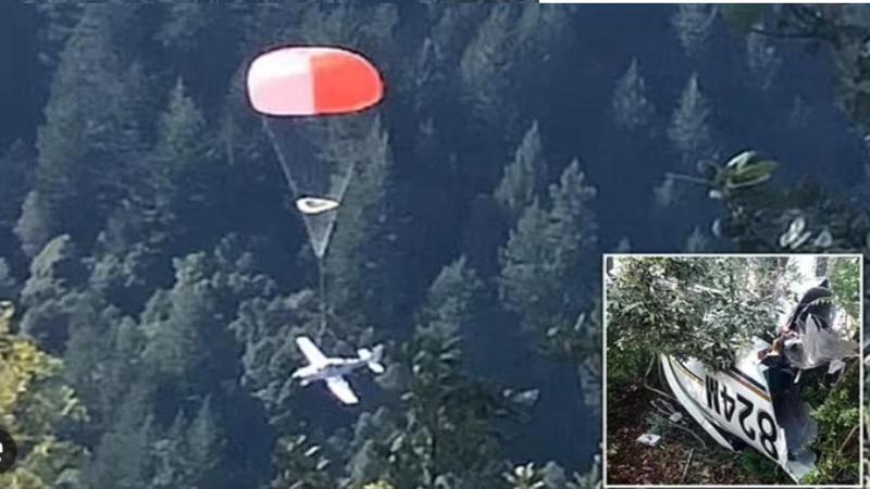 "ეს ბოლო შანსი იყო" - ცოლ-ქმარი და მათი 2 წლის შვილი ავიაკატასტროფას სასწაულებრივად გადაურჩნენ: საშინელებათა ჟანრის რეალური ამბავი ბედნიერი დასასრულით (ფოტოები)