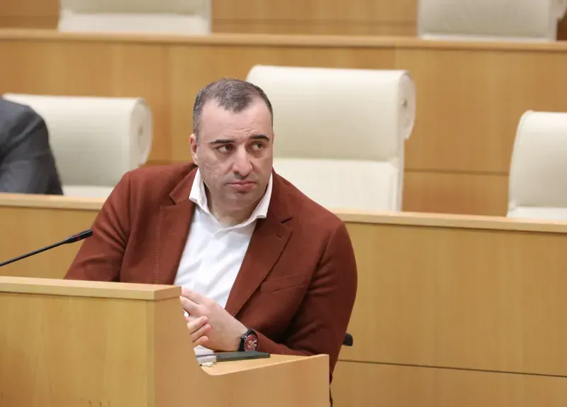 პარლამენტის ადამიანის უფლებათა დაცვის კომიტეტის თავმჯდომარე რატი იონათამიშვილი გახდა