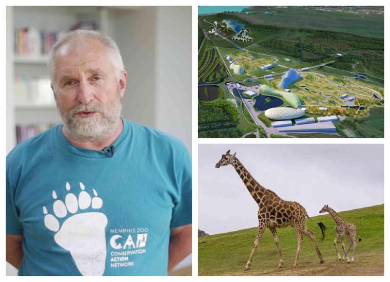 "ჟირაფებს საჰაერო გზით ჩამოვიყვანთ... აშენდება ძვირადღირებული აკვარიუმი" - რა სიახლე გელოდებათ ახალ ზოოპარკში: ინტერვიუ ზურაბ გურიელიძესთან