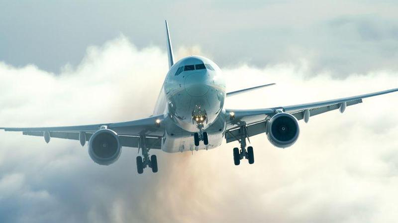 თბილისიდან მოსკოვში გაფრენილმა ტურისტმა ჩემოდნიდან 9000 დოლარი დაკარგა - რას წერს რუსული მედია?