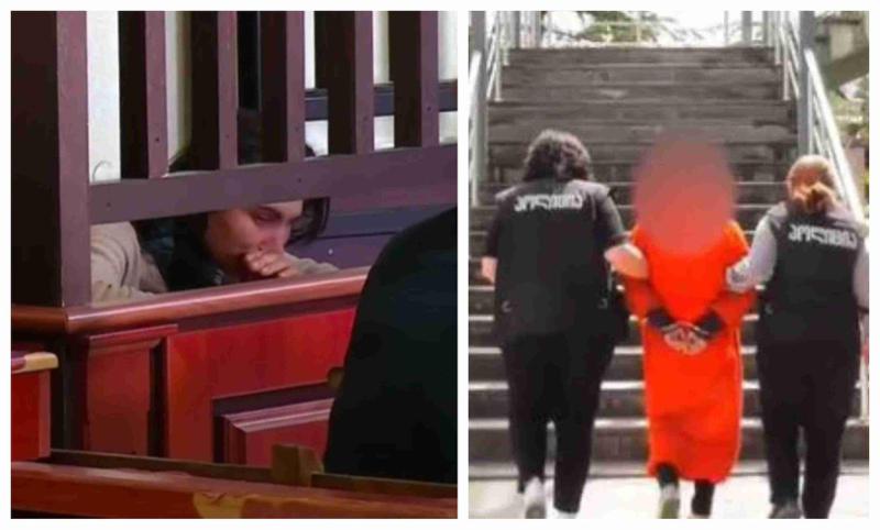 "ის ჩემი შვილის მამა იყო, როგორ მოვკლავდი..." - 29 წლის ქალი, რომელსაც ქმრის მკვლელობისთვის წინასწარი პატიმრობა მიუსაჯეს, მომხდარში საკუთარ ძმას ადანაშაულებს: რა ხდებოდა პროცესზე