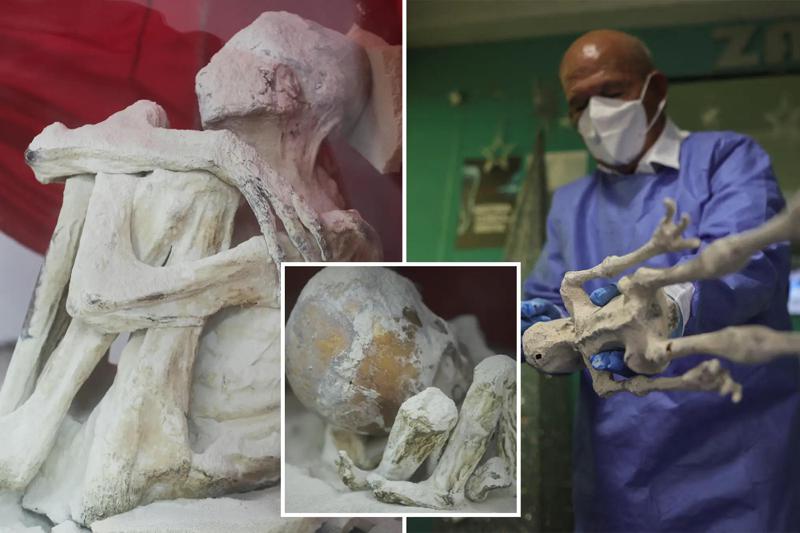 წაგრძელებული თავები და ხელებზე სამი თითი - პერუს გამოქვაბულში აღმოჩენილი გასაოცარი არტეფაქტები, რომლებიც შავ ბაზარზე ძვირად ფასობს: "ფიქრობენ, რომ ნეშტები უცხოპლანეტელებს ეკუთვნის"